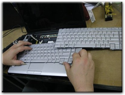 Ремонт клавиатуры на ноутбуке Toshiba в Астрахани